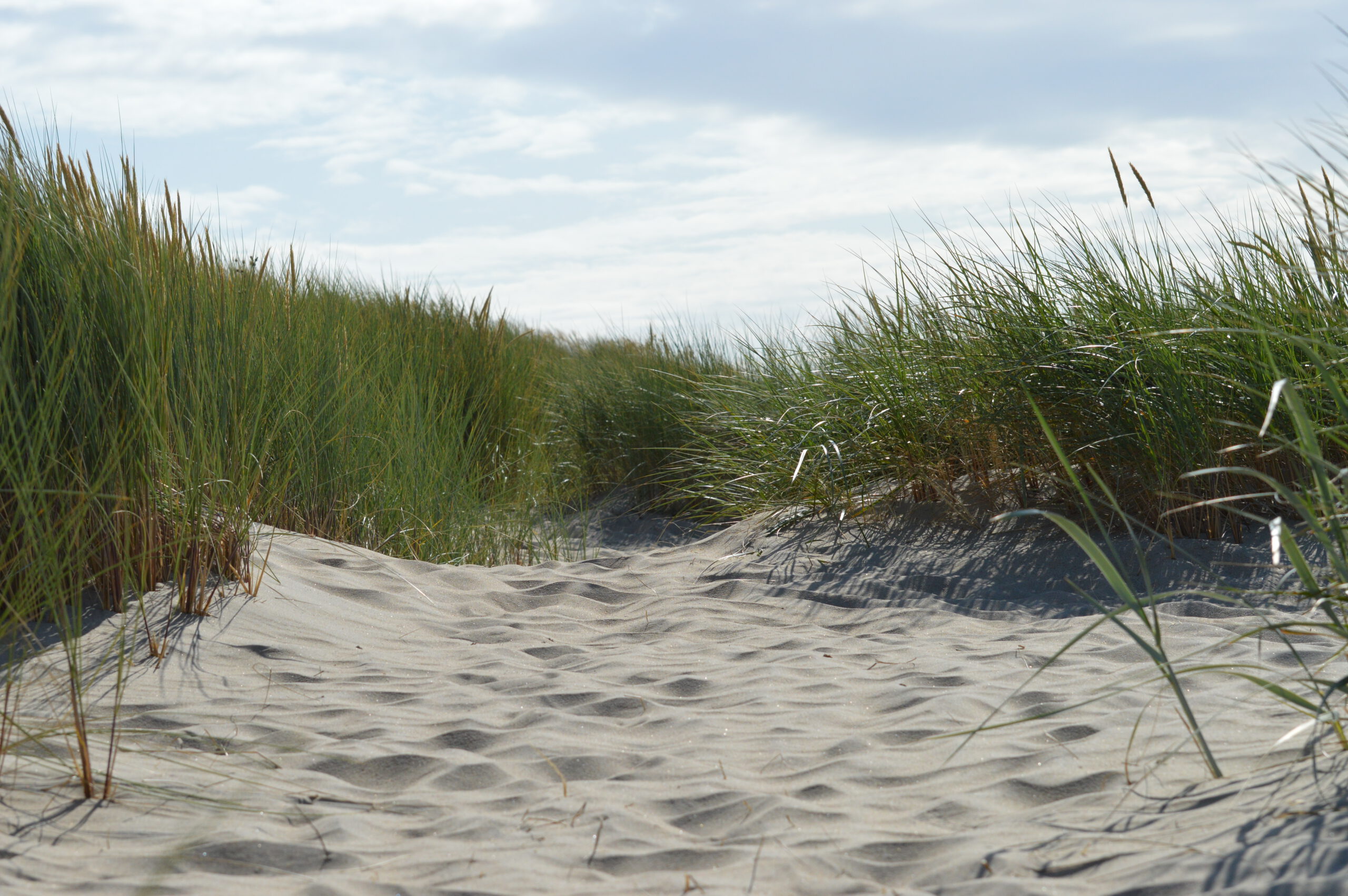 duinen